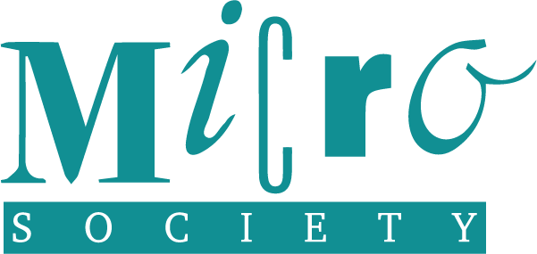 MicroSociety International's Logo